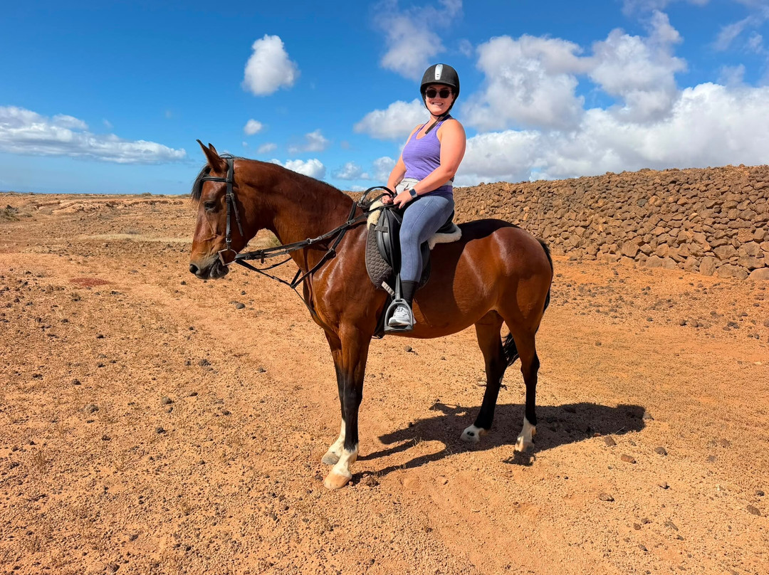 Horses Lanzarote-Teseguite必去景点