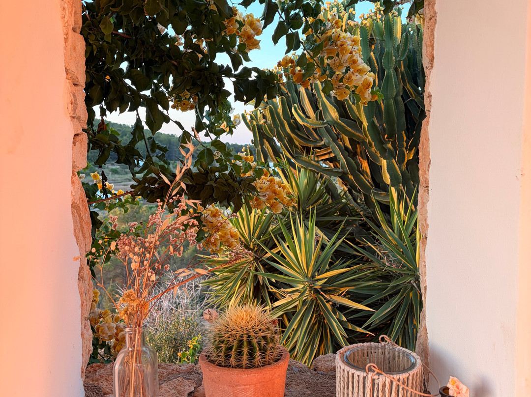 Ananda Yoga Retreats Ibiza-Port de Sant Miguel必去景点