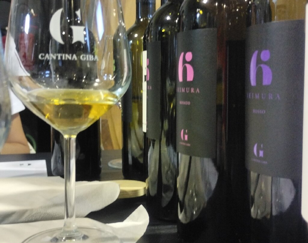 Tour vigna e degustazione in cantina - Cantina GIba