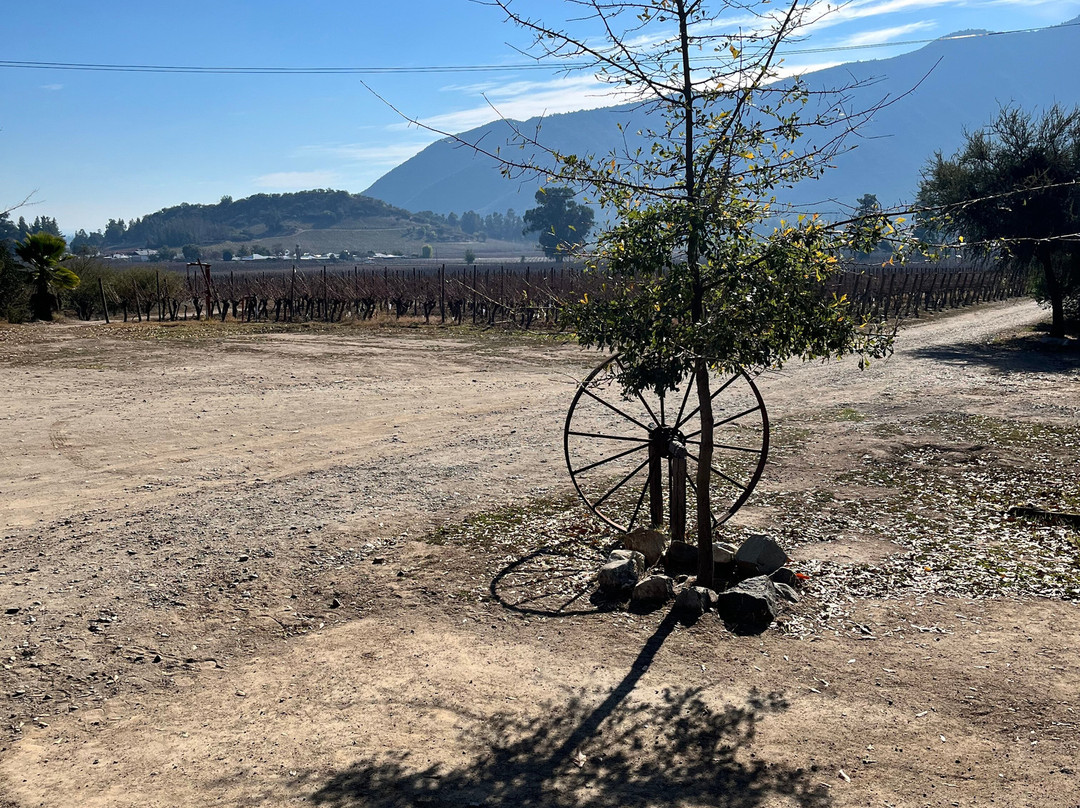 Clos de Luz-Pichidegua必去景点