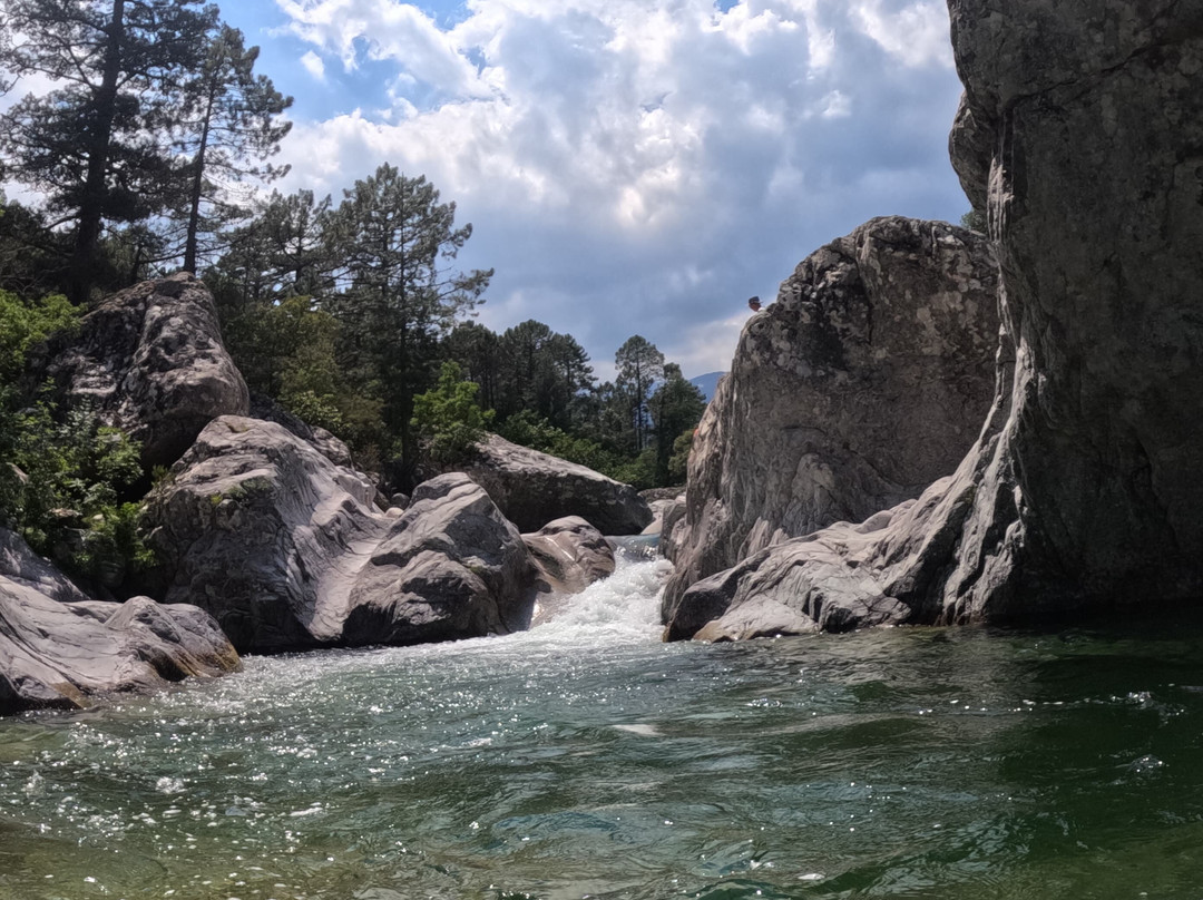 Corsica River
