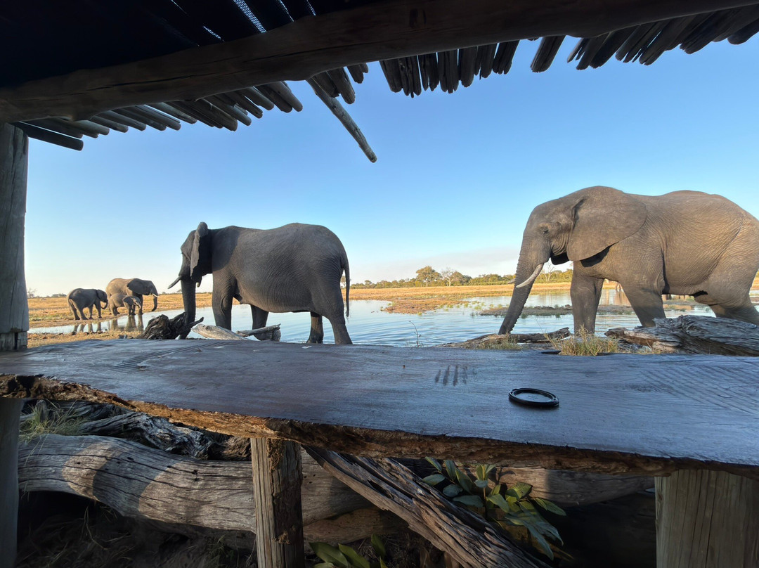 Little Makalolo Camp