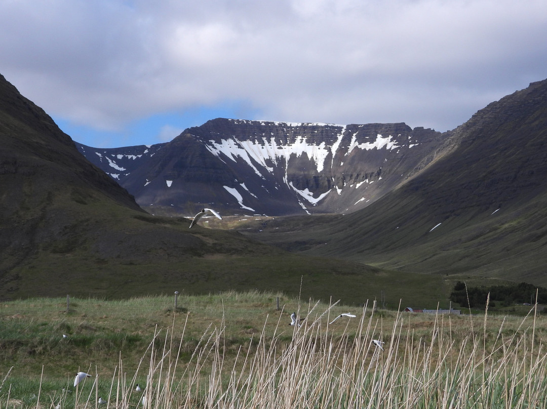 Isafjördur Guide-伊萨菲厄泽必去景点