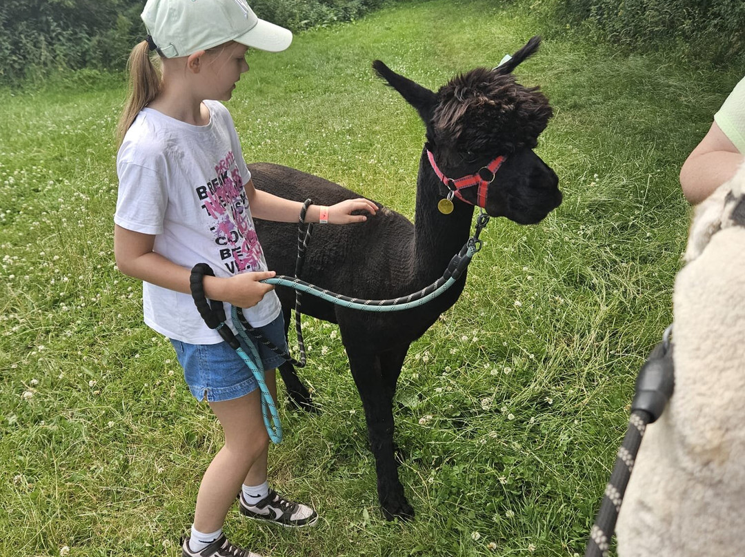 Charnwood Forest Alpacas-Boundary必去景点