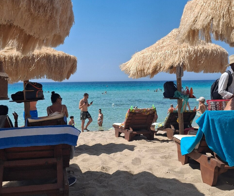 Samanà Beach-Punta Prosciutto必去景点