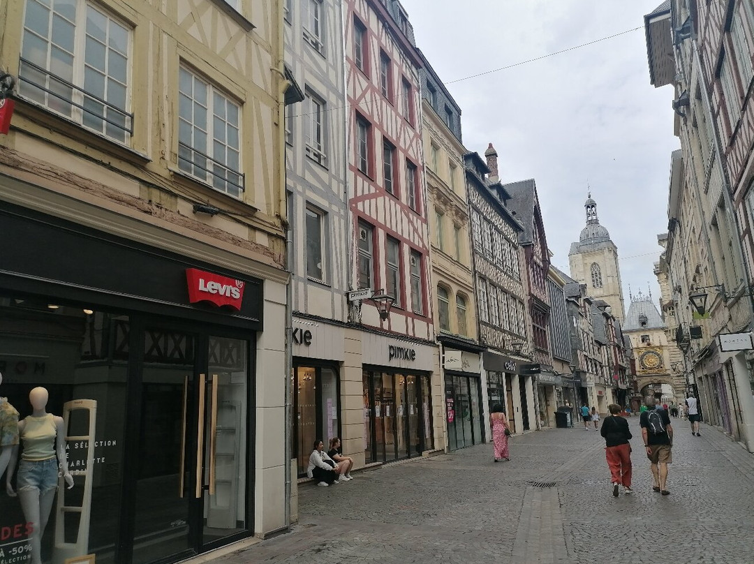 Rue du Gros-Horloge-鲁昂必去景点