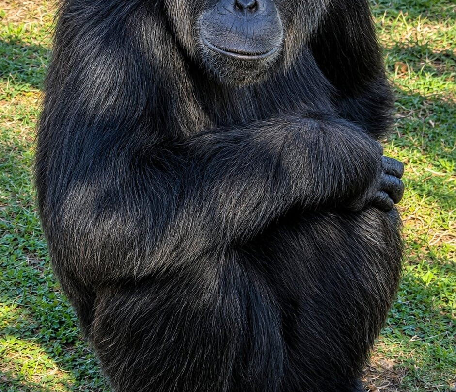 Mystic Monkeys & Feathers Wildlife Park-Rust de Winter必去景点