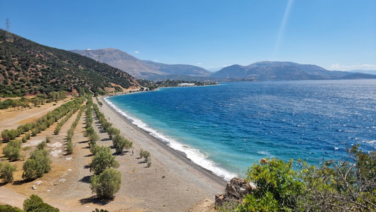 Hotel Delphi Beach-旅行者