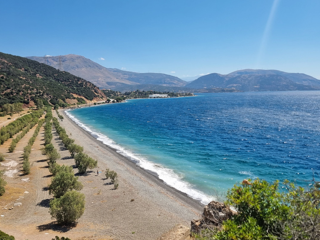 Hotel Delphi Beach主图