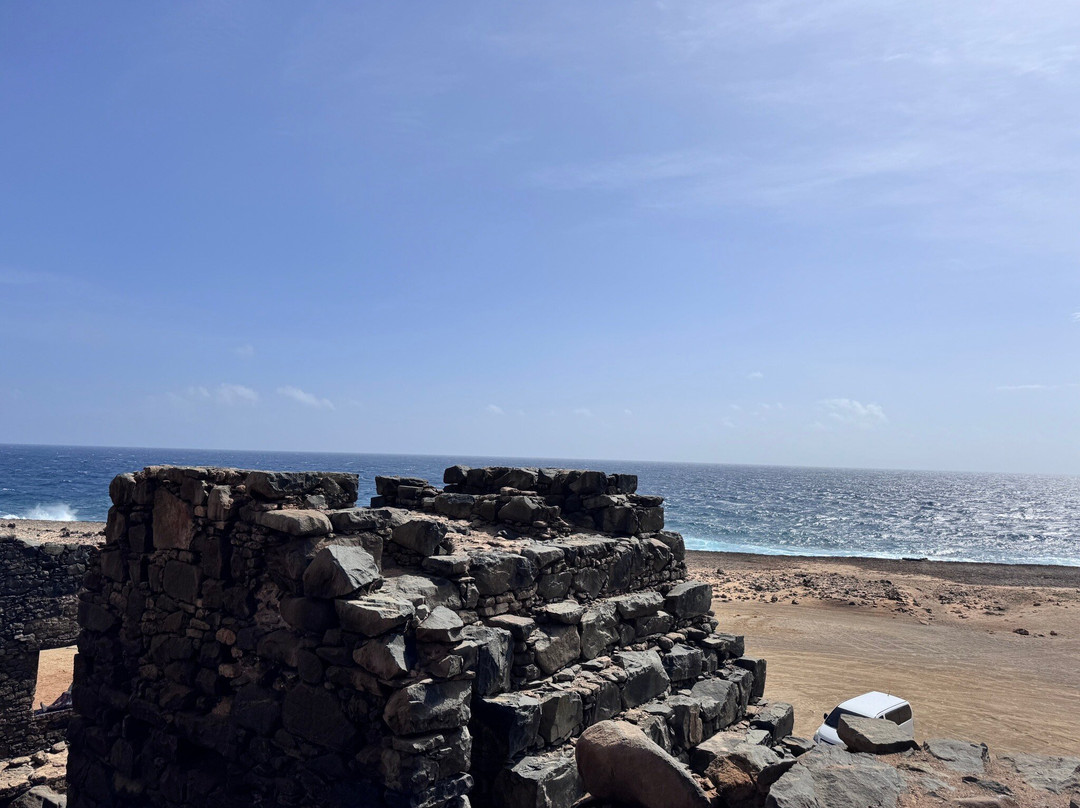 ABC Tours Aruba-奥腊涅斯塔德必去景点