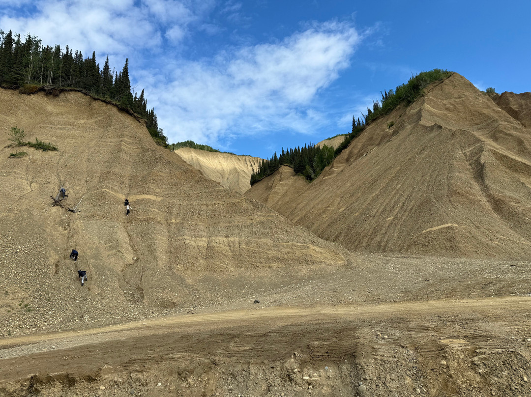 Black Diamond ATV Tours-德纳利国家公园和自然保护区必去景点