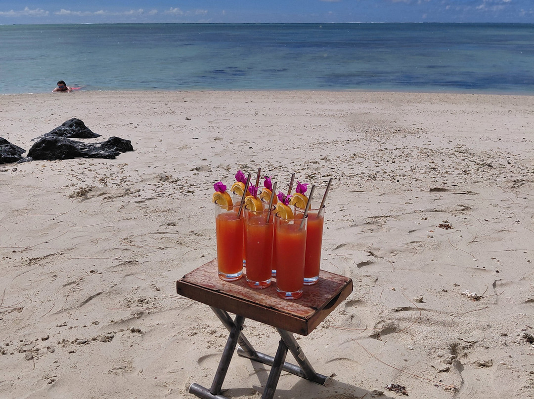 Paradisio Excursions Ile Maurice-大湾必去景点