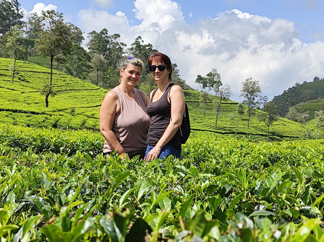 Go Tours Lanka-康提必去景点