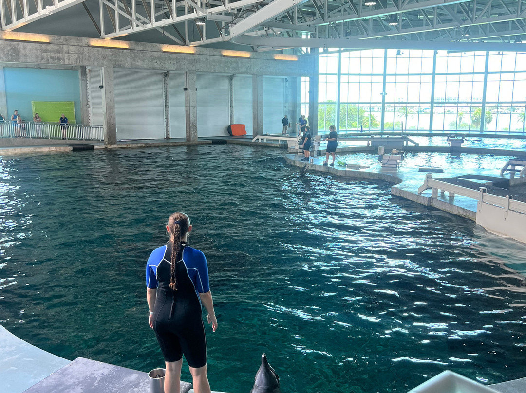 Clearwater Marine Aquarium-克利尔沃特必去景点