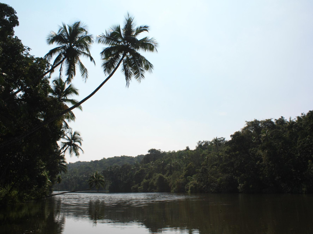 Tropical Spice Plantation-Ponda必去景点
