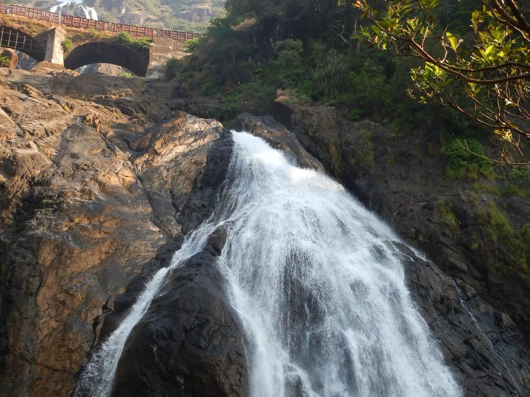 Dudhsagar Falls-Mollem National Park必去景点