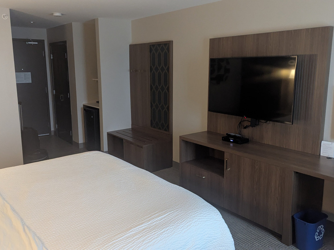 Holiday Inn & Suites 萨里东 - 克洛弗代尔主图