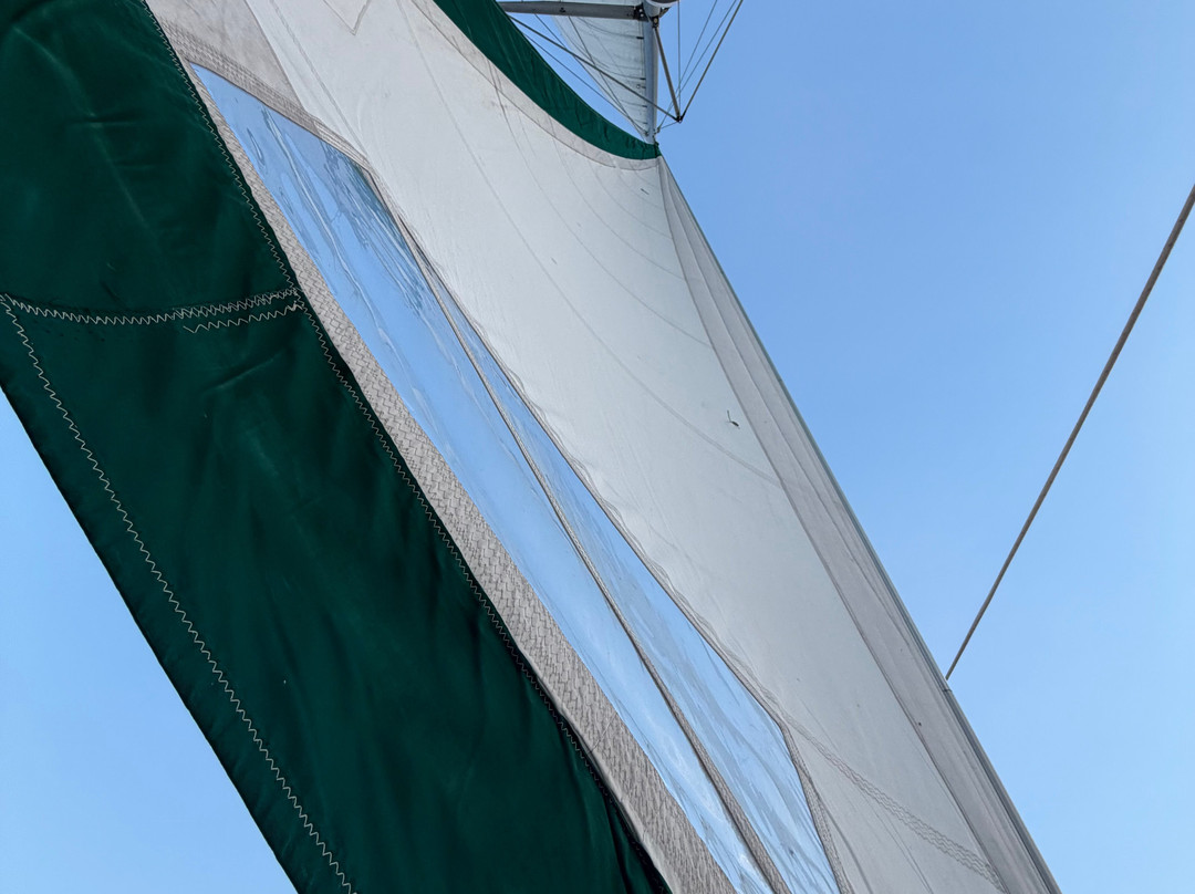 Gato Verde Adventure Sailing-贝灵厄姆必去景点