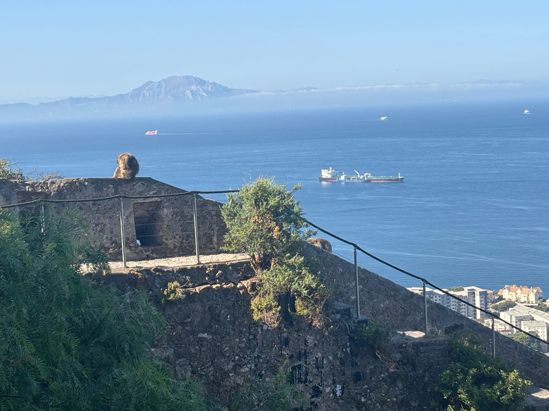 直布罗陀巨岩-Gibraltar Town必去景点