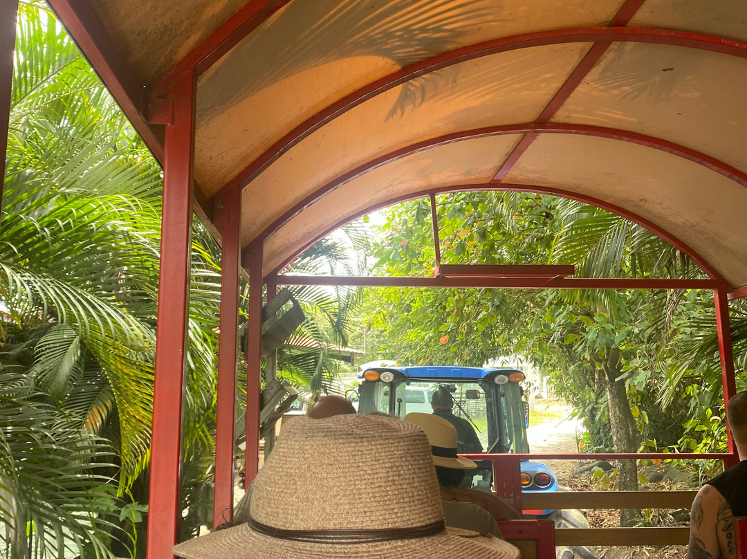 Carabali Rainforest Adventure Park-Luquillo必去景点