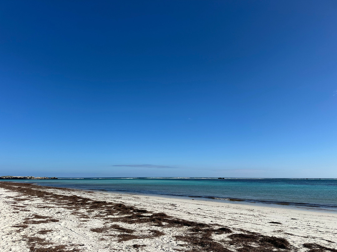 Experience Lancelin Holiday Park