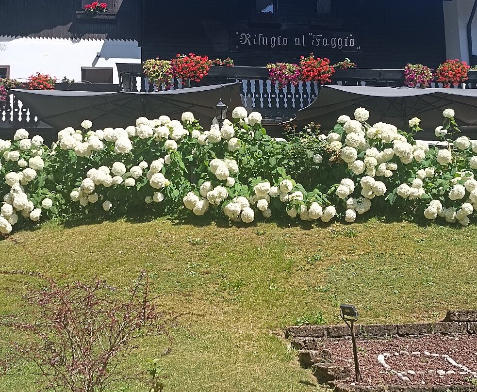 Chalet Rifugio Al Faggio hotel主图