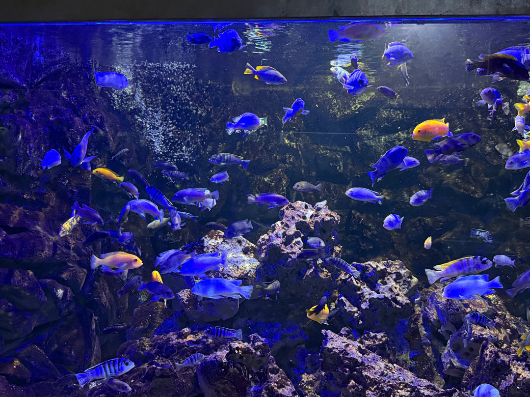 Aquarium du Limousin-利摩日必去景点