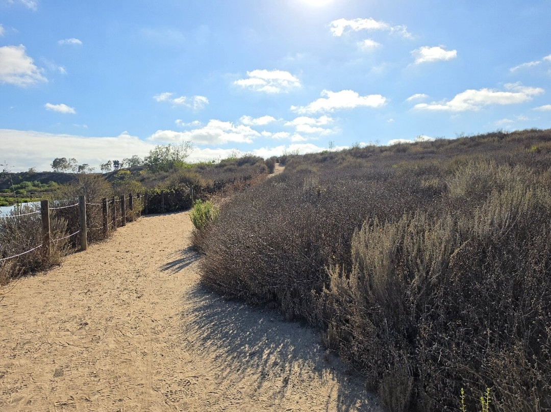 Upper Newport Bay Nature Preserve-纽波特海滩必去景点