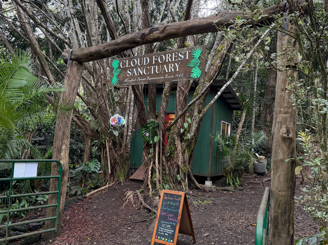 Kona Cloud Forest Sanctuary-凯鲁瓦-柯纳必去景点