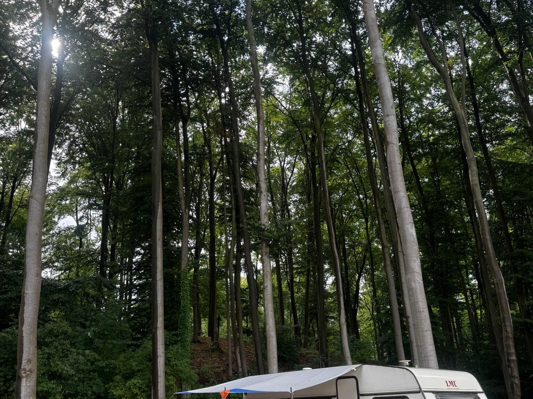 Berolina Camping