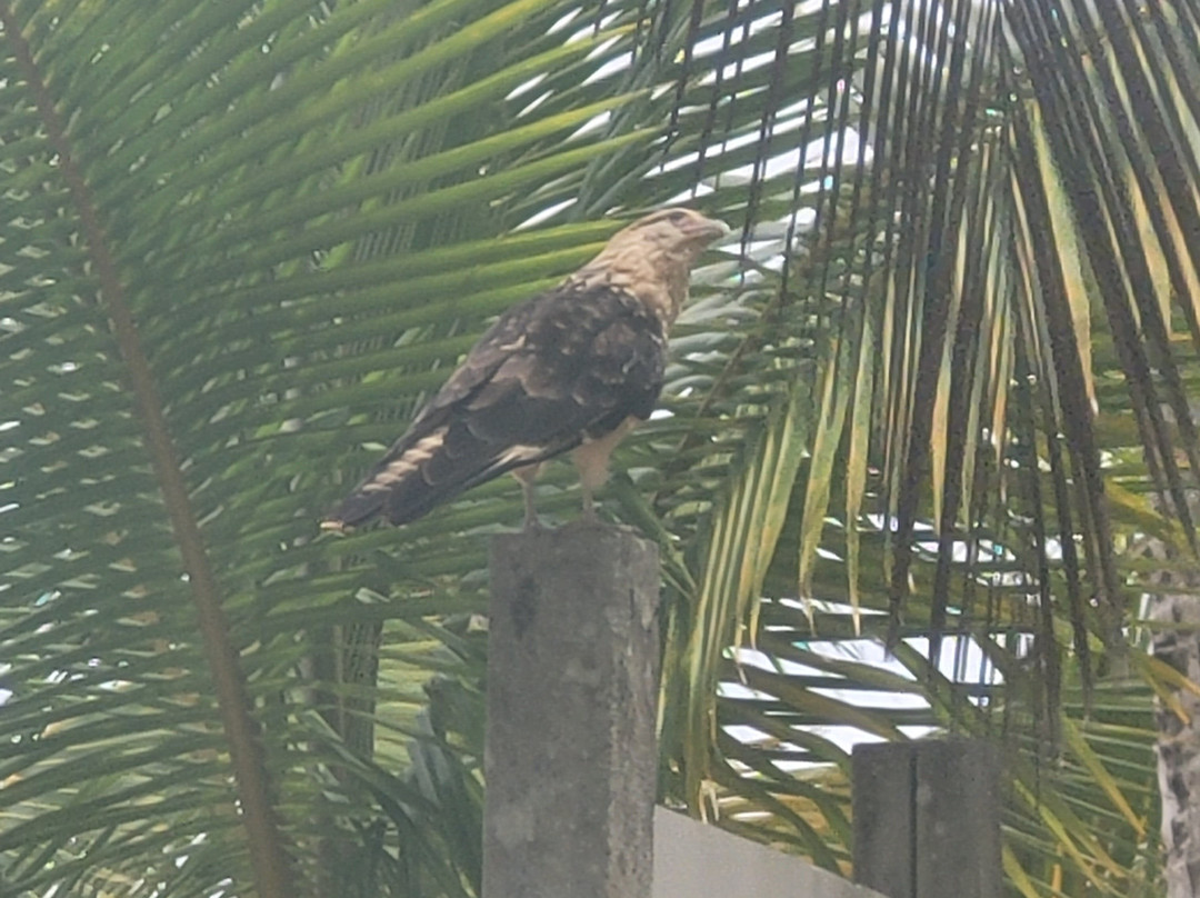 Premier Coiba Tours-Santa Catalina必去景点