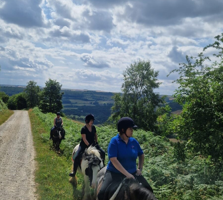 Bilsdale Riding Centre-Hawnby必去景点