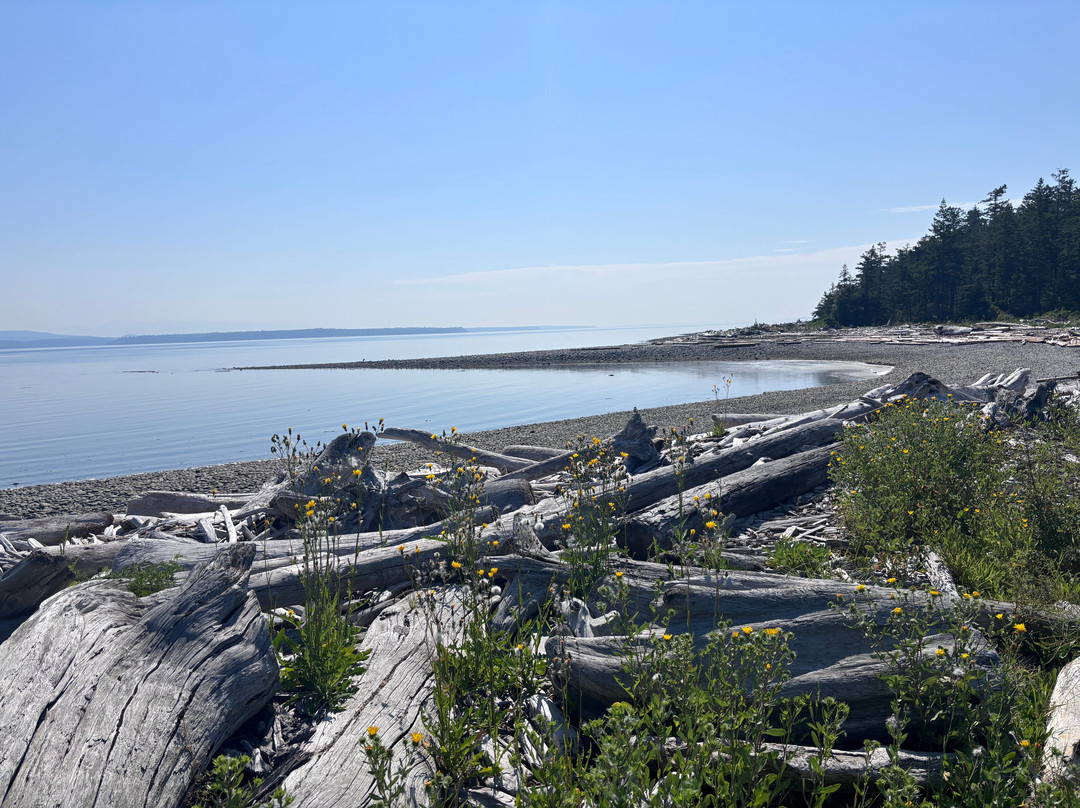 Rebecca Spit Marine Provincial Park-Heriot Bay必去景点