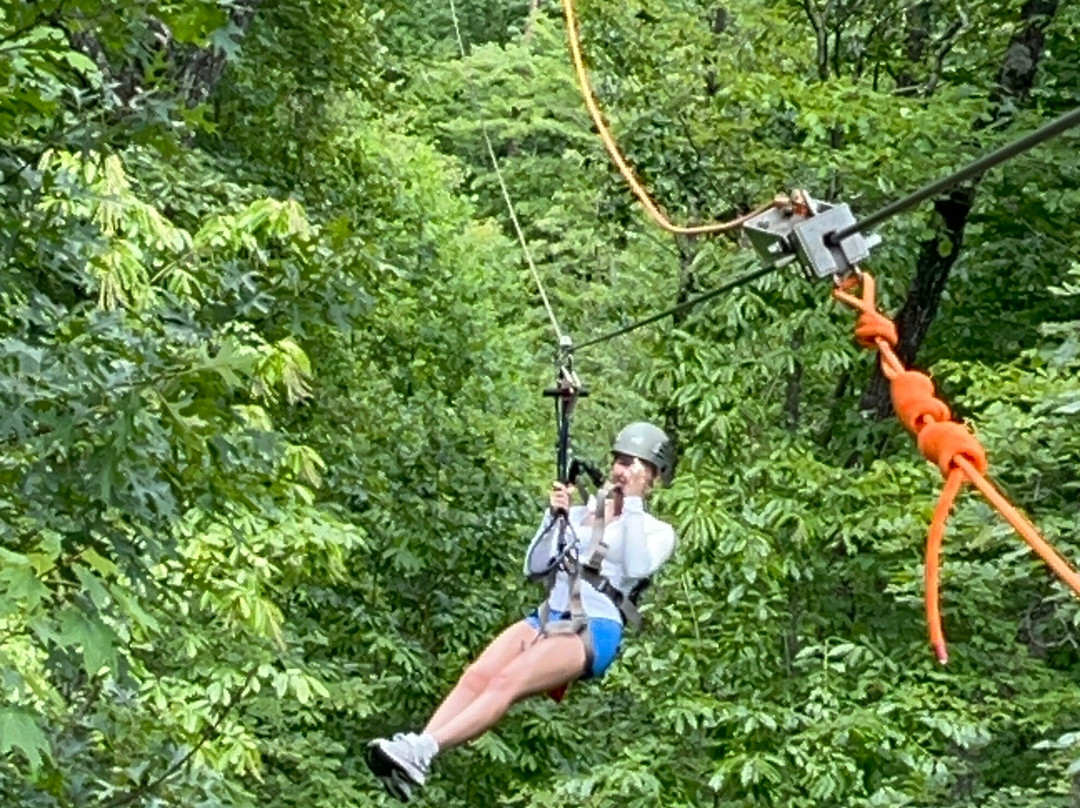Smoky Mountain Ziplines-皮金福奇必去景点