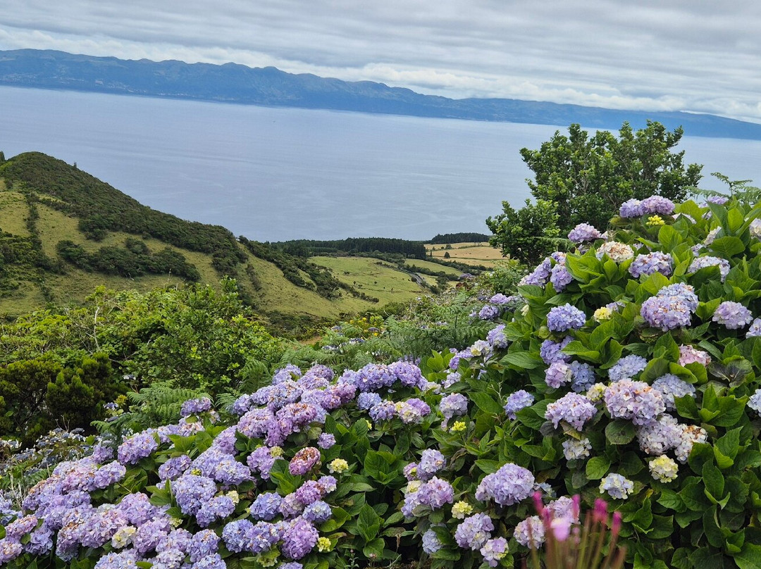 Tripix Azores-Pico必去景点