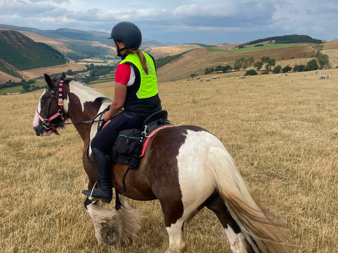 Freerein Riding Holidays-Clyro必去景点