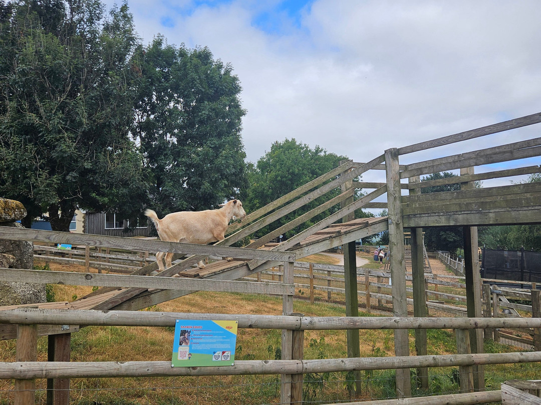Pennywell Farm-Buckfastleigh必去景点