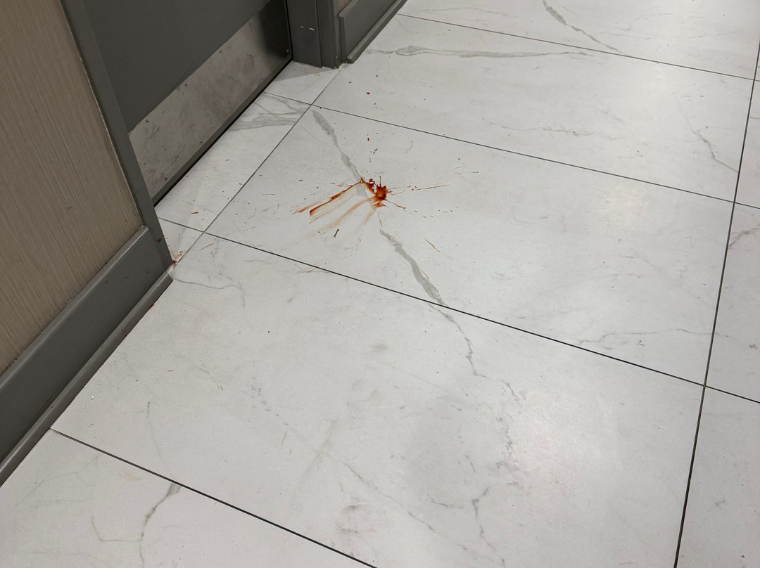 哈蒂斯堡希尔顿逸林酒店主图