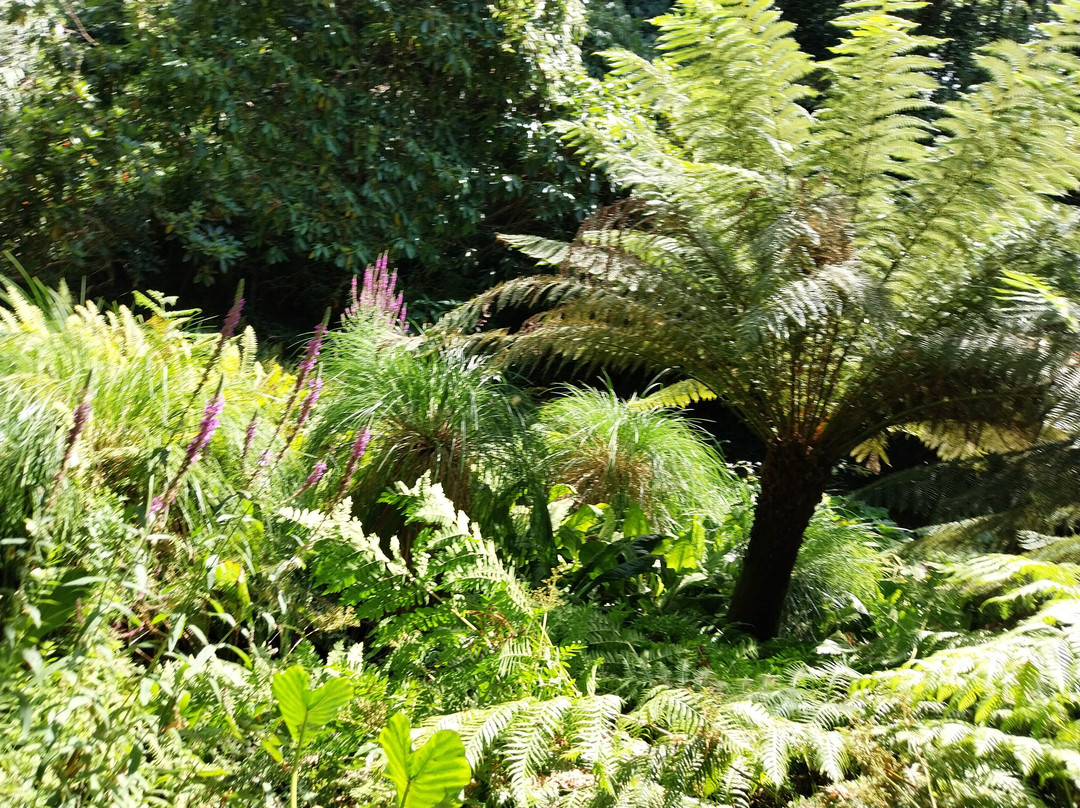 Sas Les Jardins De Kerdalo-Tredarzec必去景点