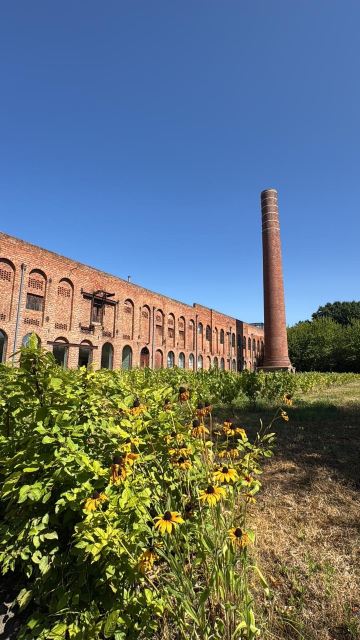 库切游玩住宿加早餐旅馆-旅行者