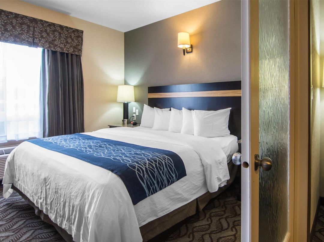 Gibbons酒店住宿-Comfort Inn & Suites Fort Saskatchewan