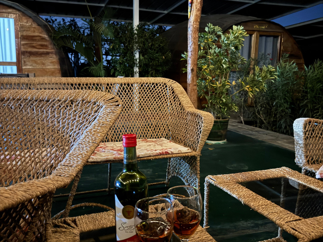 Bodega Y Viñedo Sotelo-伊卡必去景点