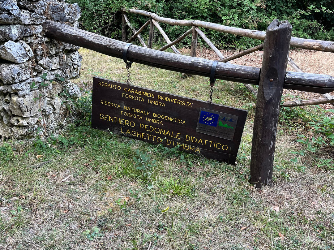 Foresta Umbra-Monte Sant'Angelo必去景点