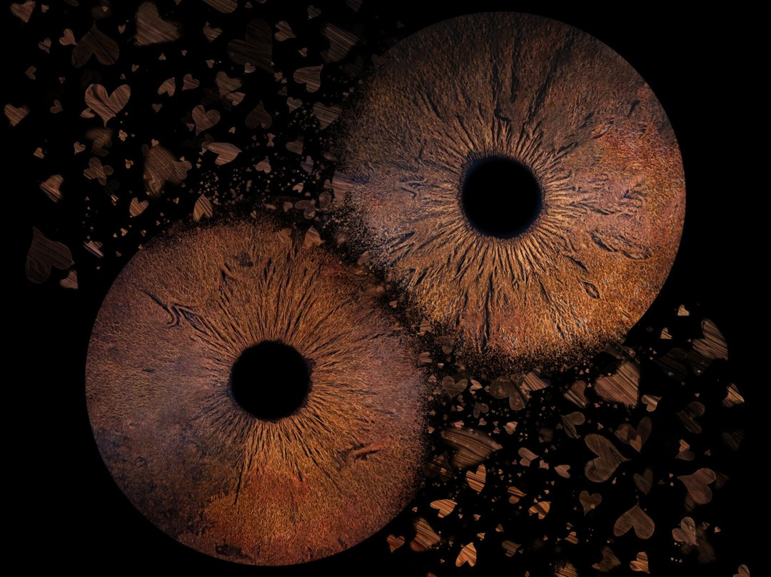 Iris Galerie Amsterdam Spiegelgracht