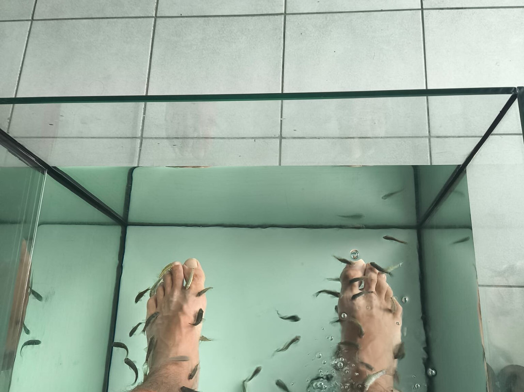 Fish Spa Blue-Nidri必去景点