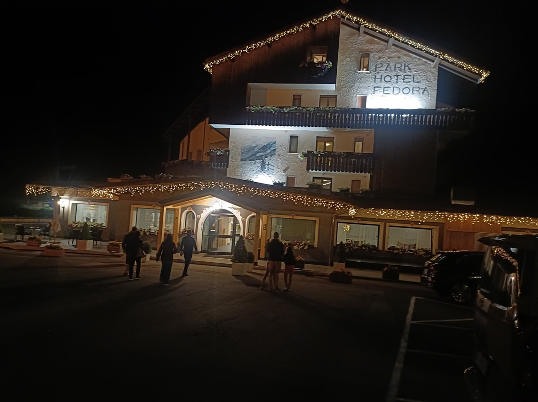 费德拉公园酒店