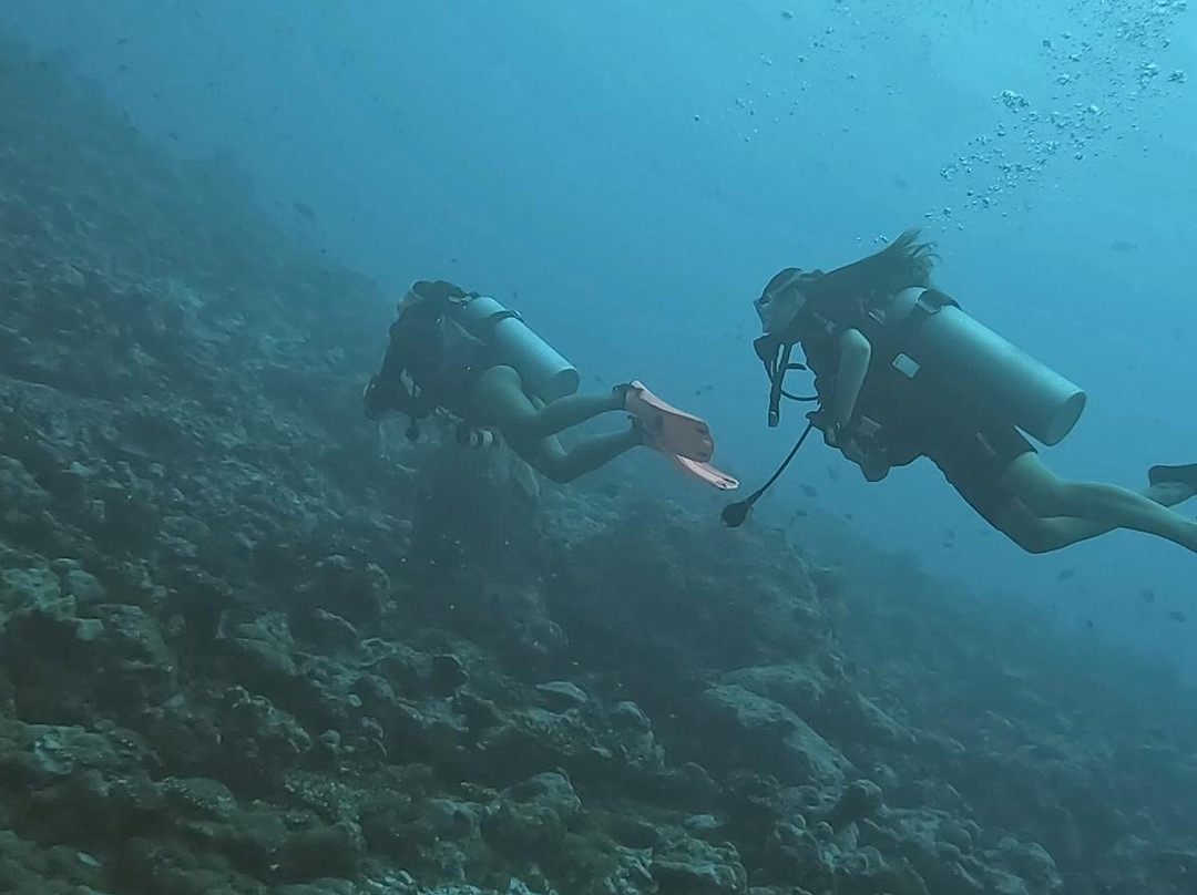 Euro-Divers Club Med Finolhu Villas-马累必去景点