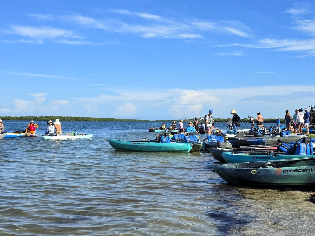 Shell Key Tour with Capt Yak-Tierra Verde必去景点
