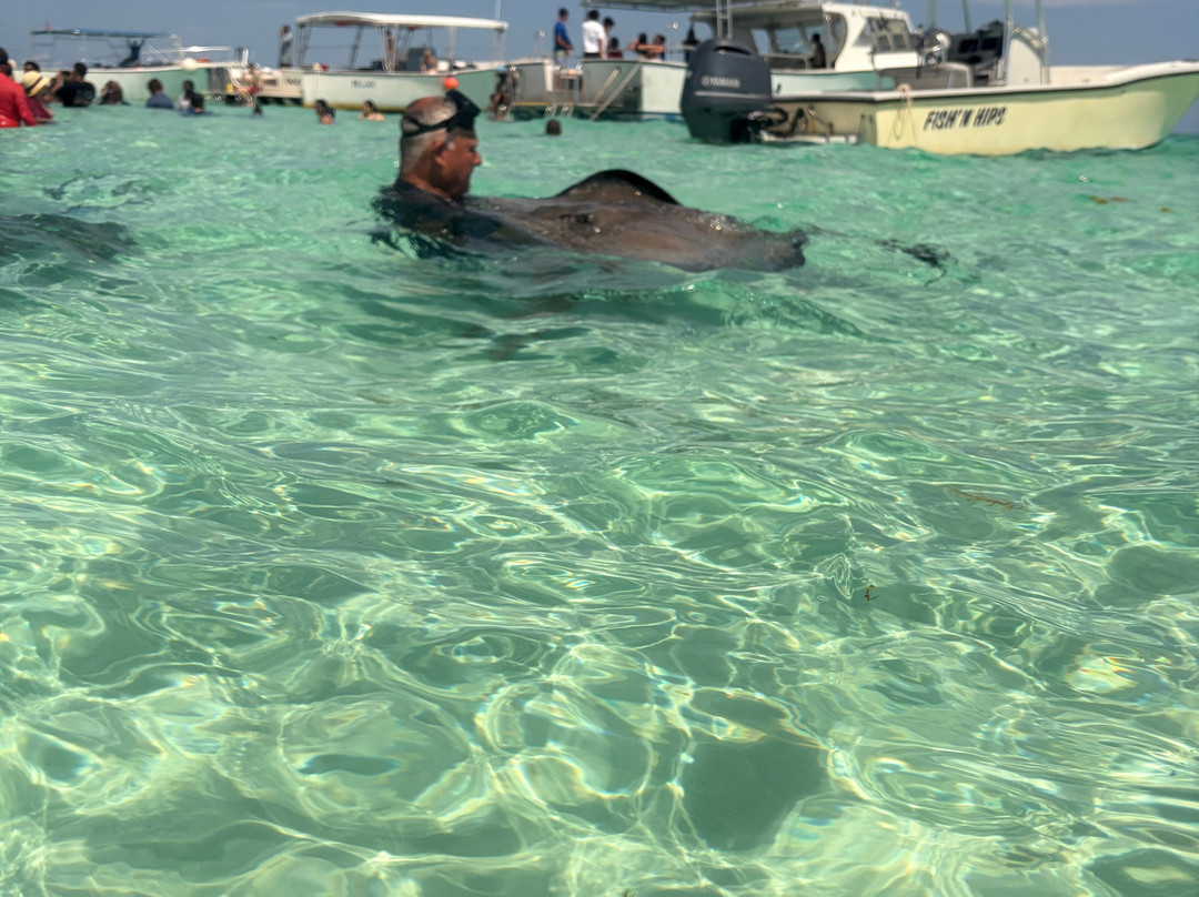 White Sand Water Sports-East End必去景点
