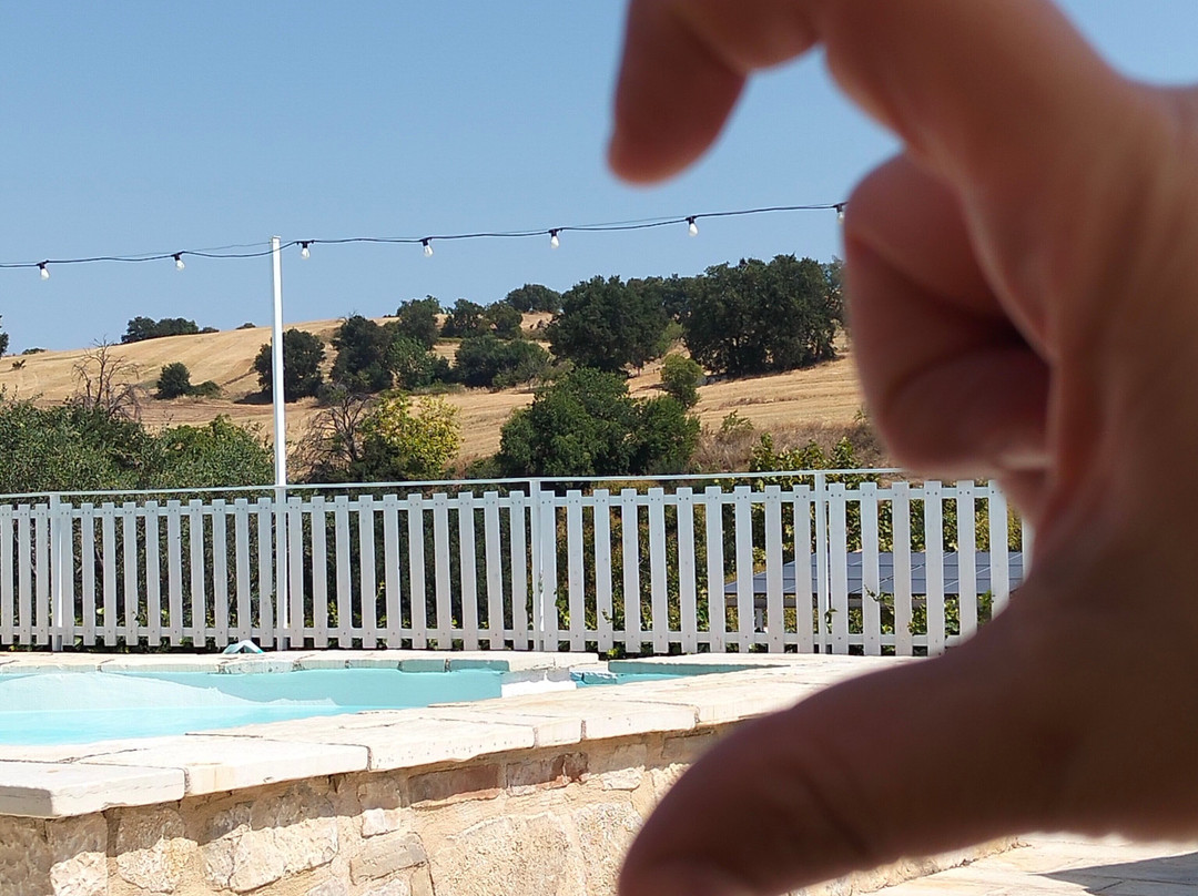 Agriturismo Fontefredda主图
